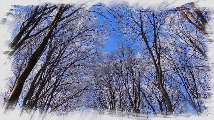01Zima Fotor
