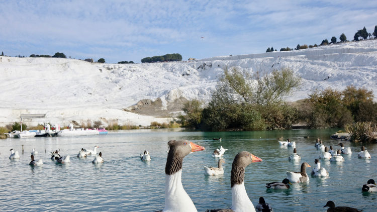 8Pamukkale