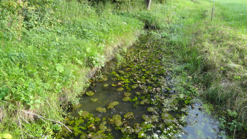 Czarna Hancza