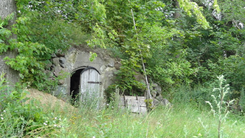 Ziemianka