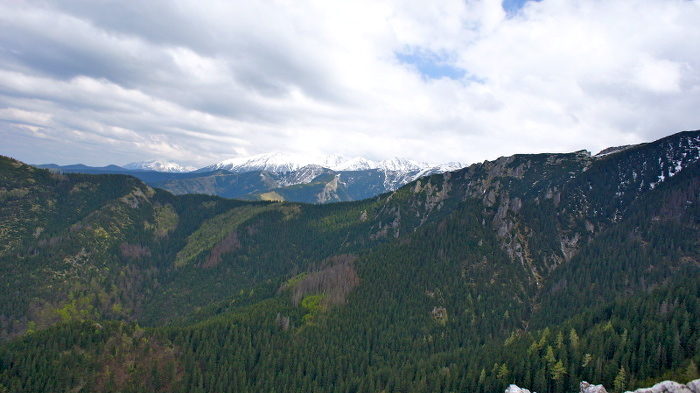 Panorama Tatr z Sarnich Skał