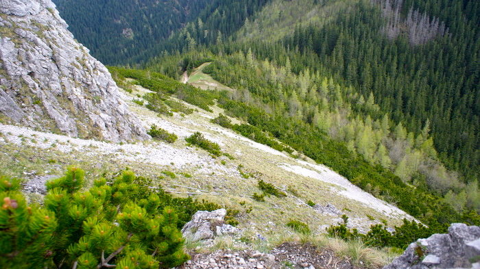 Widok z Sarnich Skał