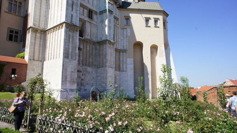 DSC01834